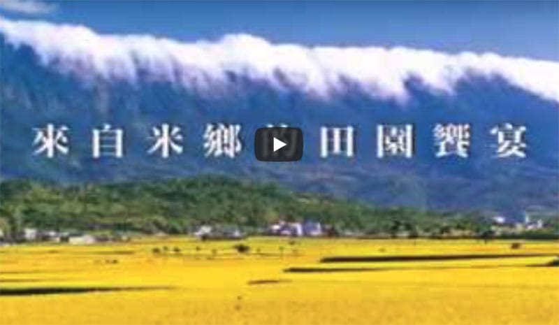 池上木片便當-廣告(2009)